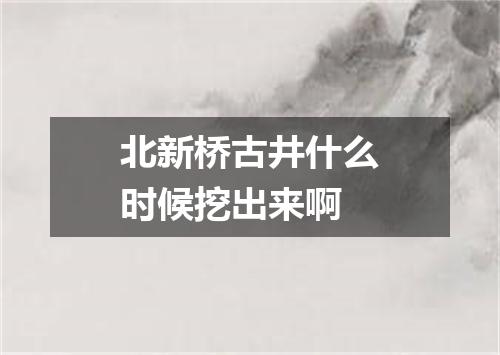 北新桥古井什么时候挖出来啊