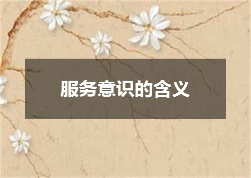 服务意识的含义