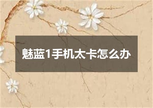 魅蓝1手机太卡怎么办