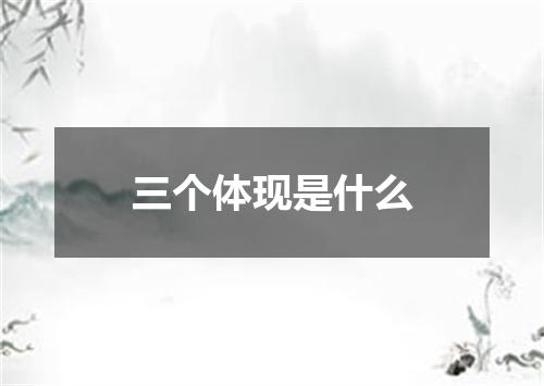 三个体现是什么