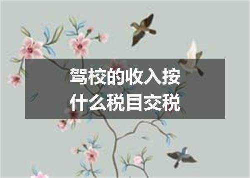 驾校的收入按什么税目交税