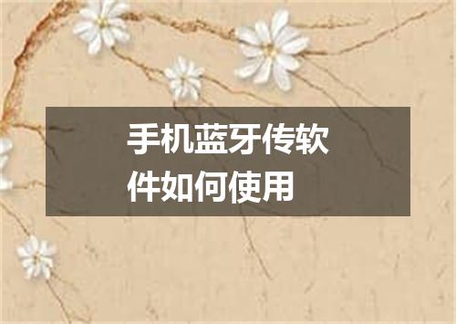 手机蓝牙传软件如何使用