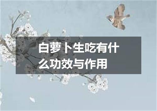 白萝卜生吃有什么功效与作用