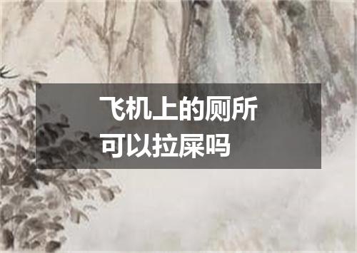 飞机上的厕所可以拉屎吗