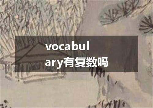 vocabulary有复数吗