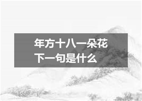 年方十八一朵花下一句是什么