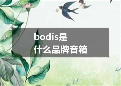 bodis是什么品牌音箱