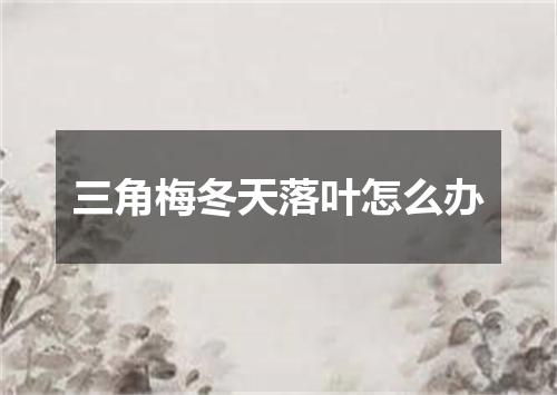 三角梅冬天落叶怎么办