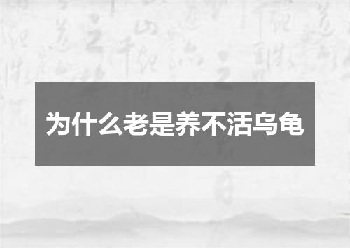 为什么老是养不活乌龟