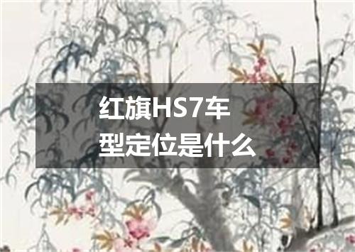 红旗HS7车型定位是什么