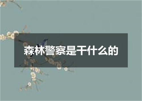 森林警察是干什么的