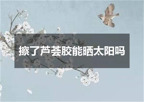 擦了芦荟胶能晒太阳吗