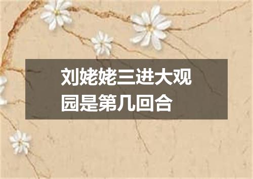 刘姥姥三进大观园是第几回合