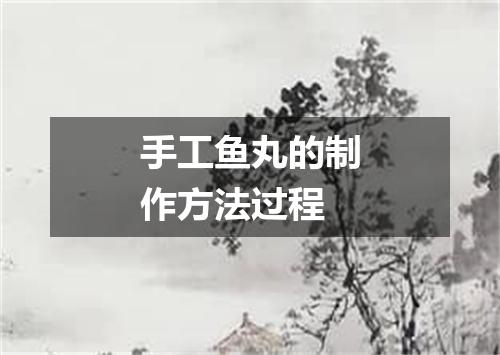 手工鱼丸的制作方法过程