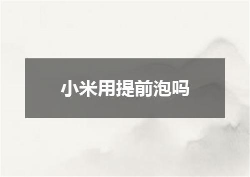 小米用提前泡吗