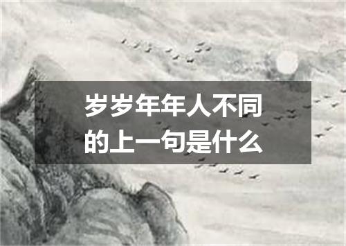 岁岁年年人不同的上一句是什么