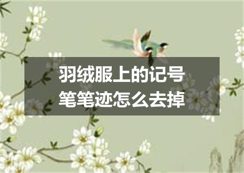 羽绒服上的记号笔笔迹怎么去掉