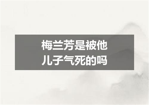 梅兰芳是被他儿子气死的吗