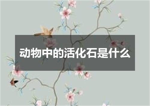 动物中的活化石是什么