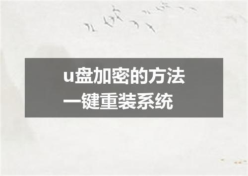 u盘加密的方法一键重装系统