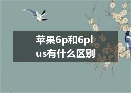 苹果6p和6plus有什么区别