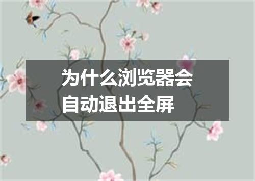 为什么浏览器会自动退出全屏