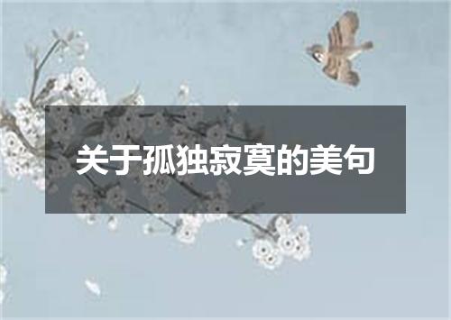 关于孤独寂寞的美句