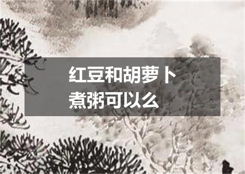 红豆和胡萝卜煮粥可以么