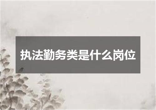 执法勤务类是什么岗位