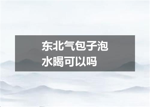 东北气包子泡水暍可以吗