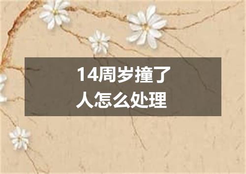 14周岁撞了人怎么处理