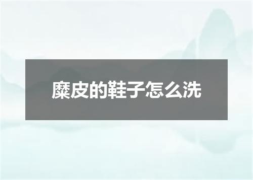 糜皮的鞋子怎么洗