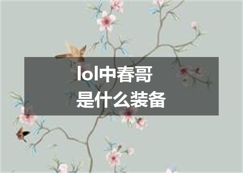 lol中春哥是什么装备