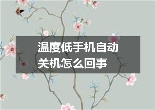 温度低手机自动关机怎么回事