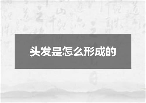 头发是怎么形成的
