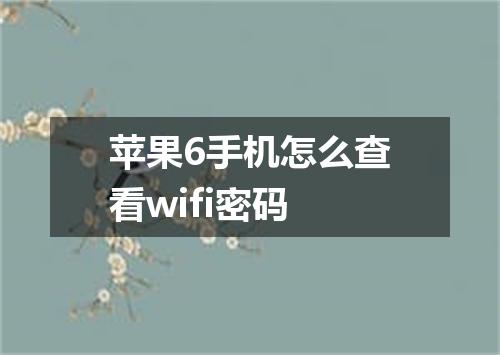苹果6手机怎么查看wifi密码