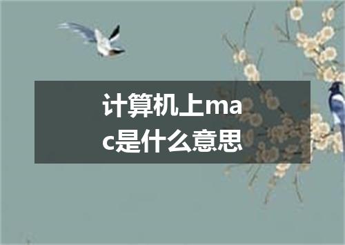 计算机上mac是什么意思