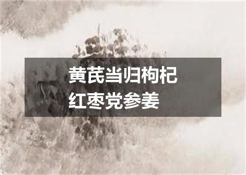 黄芪当归枸杞红枣党参姜