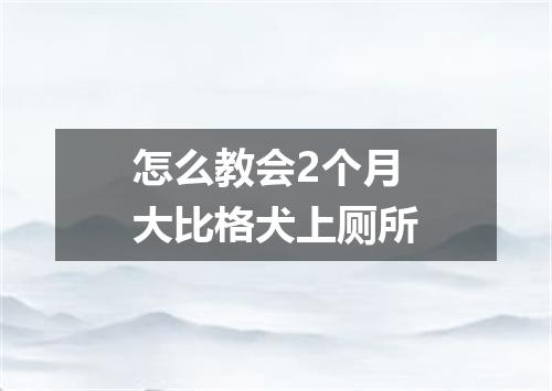 怎么教会2个月大比格犬上厕所