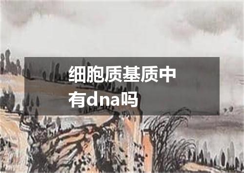 细胞质基质中有dna吗