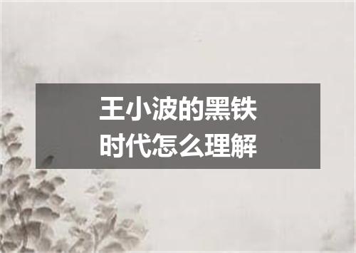 王小波的黑铁时代怎么理解