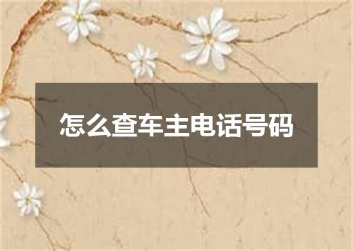 怎么查车主电话号码