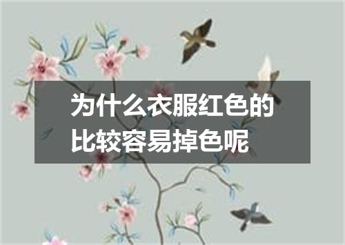 为什么衣服红色的比较容易掉色呢