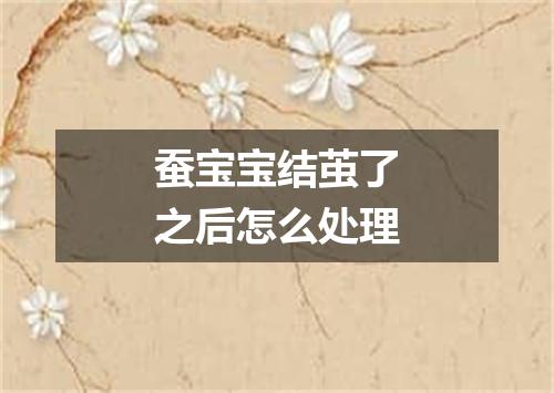 蚕宝宝结茧了之后怎么处理