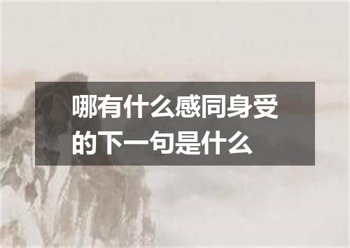 哪有什么感同身受的下一句是什么