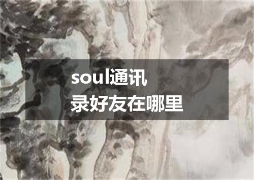 soul通讯录好友在哪里