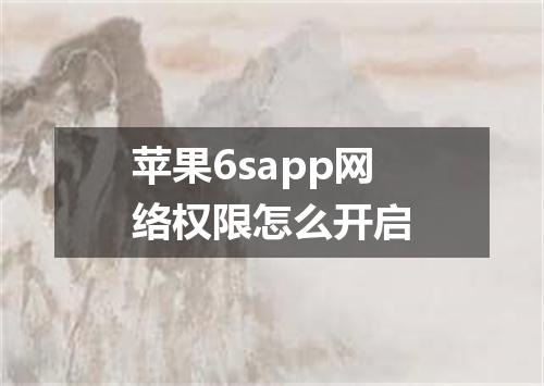 苹果6sapp网络权限怎么开启