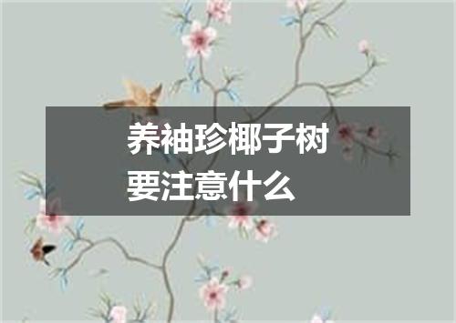 养袖珍椰子树要注意什么