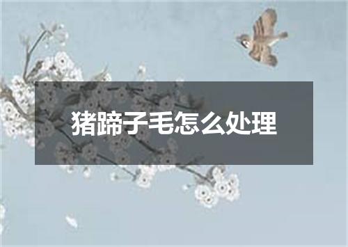 猪蹄子毛怎么处理