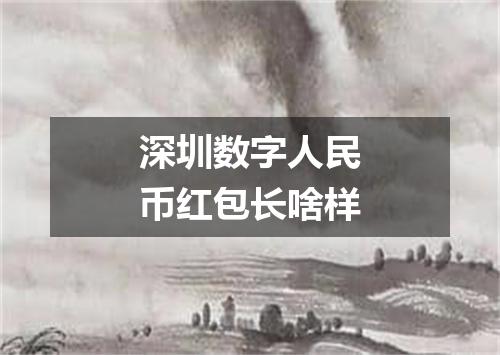 深圳数字人民币红包长啥样